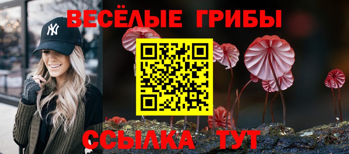 Галлюциногенные грибы мицелий  Вход с VPN  Ржев 